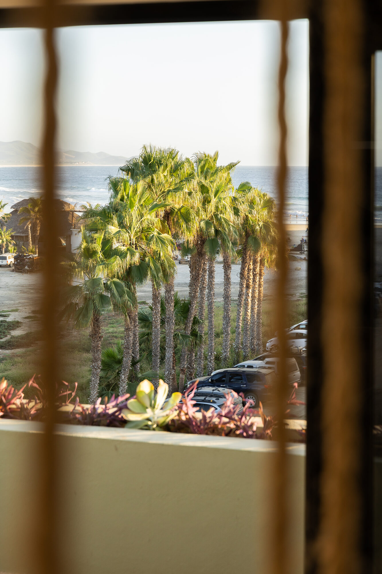 Palms and the beach seen through a vertical wooden slat screen